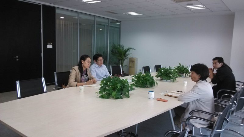医疗健康战略咨询项目周期：揭秘高效落地的关键步骤**