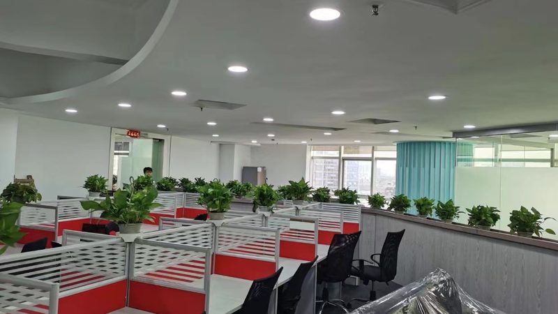 小型企业体系认证标准规范：构建稳固基石的必经之路