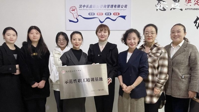 企业如何通过定制化组织架构咨询方案实现高效运营**