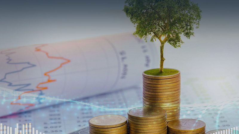 中小企业培训咨询核心参数：解码高效管理之道