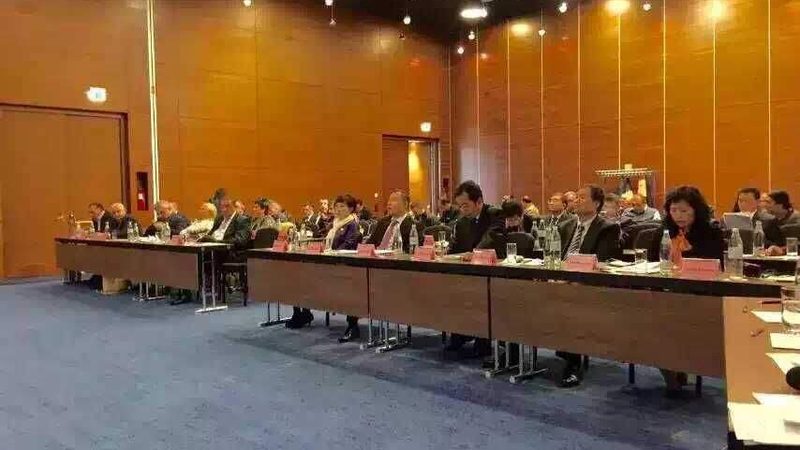 评估标准：顾问资质与案例量化